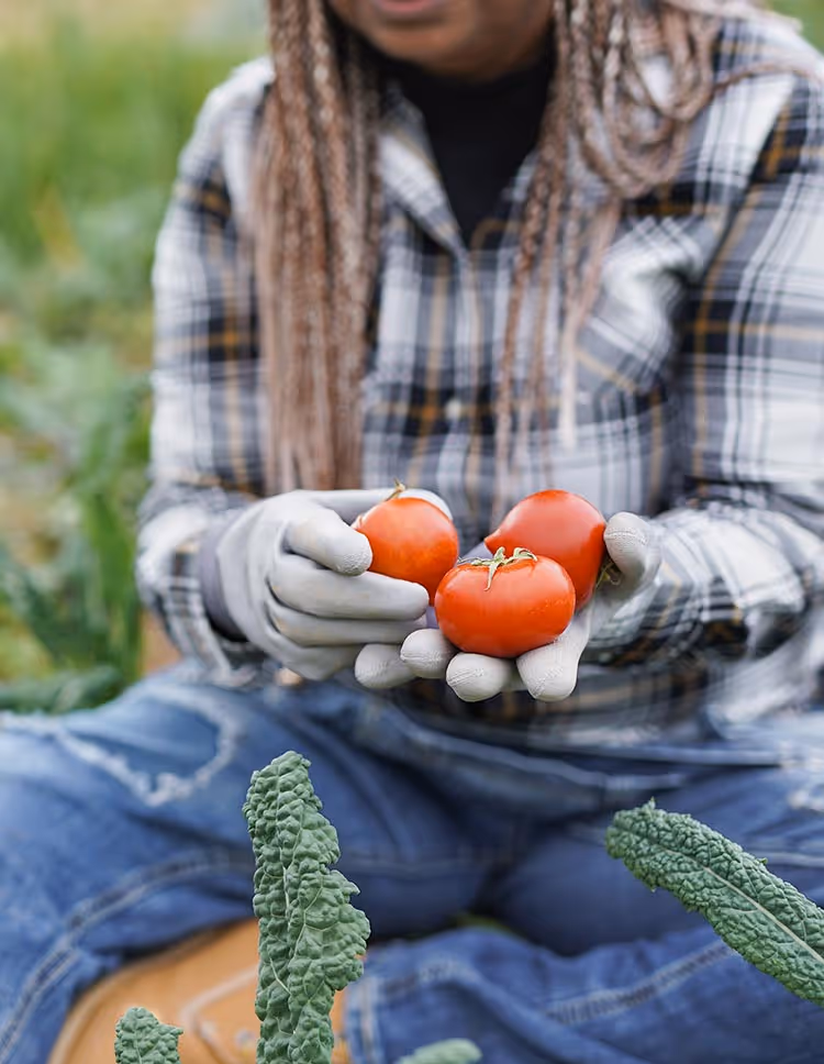 EcoWorks International Haiti - what we do