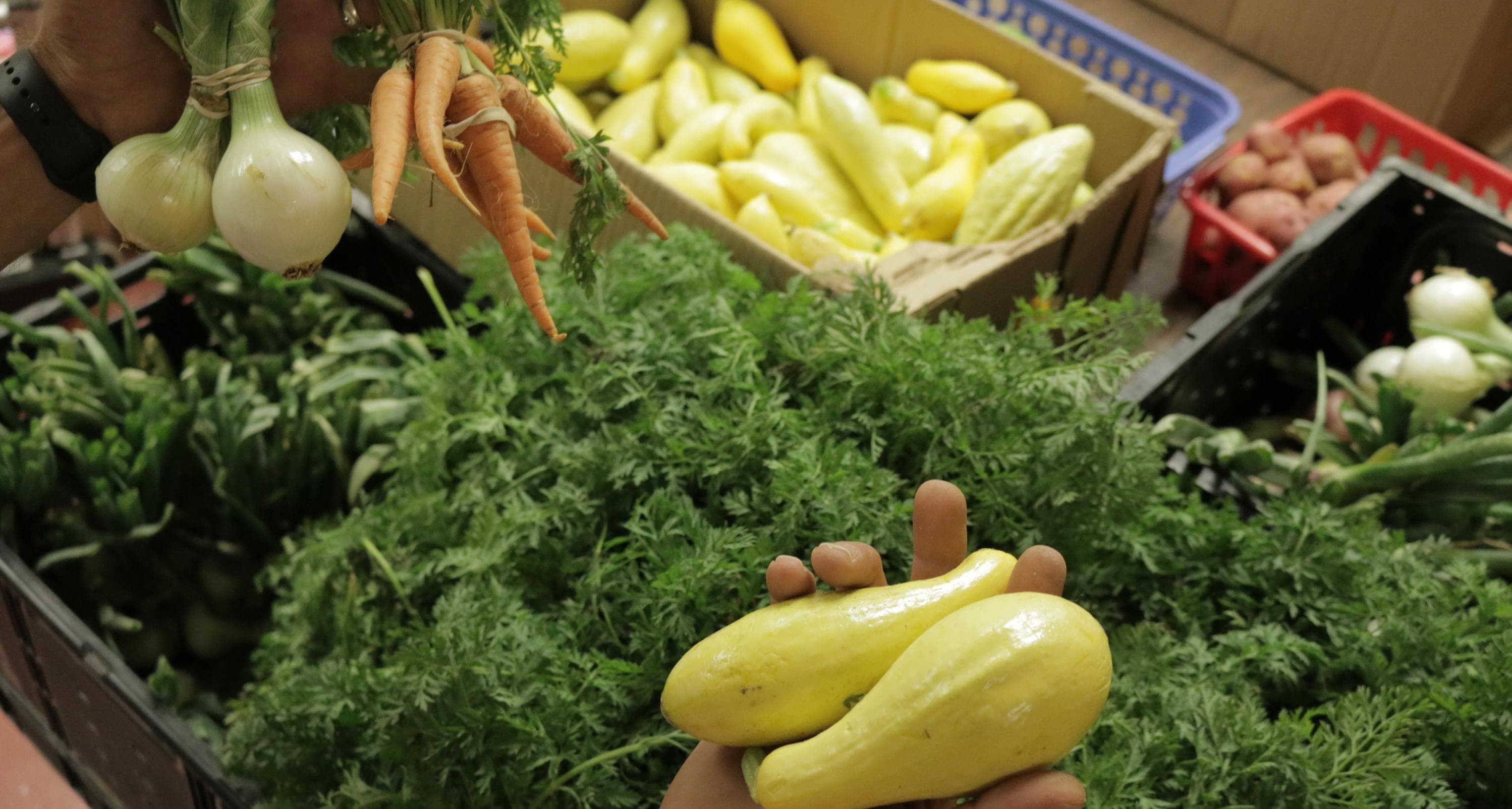 Serving Compassion at the Freedom Fellowships Food Pantry