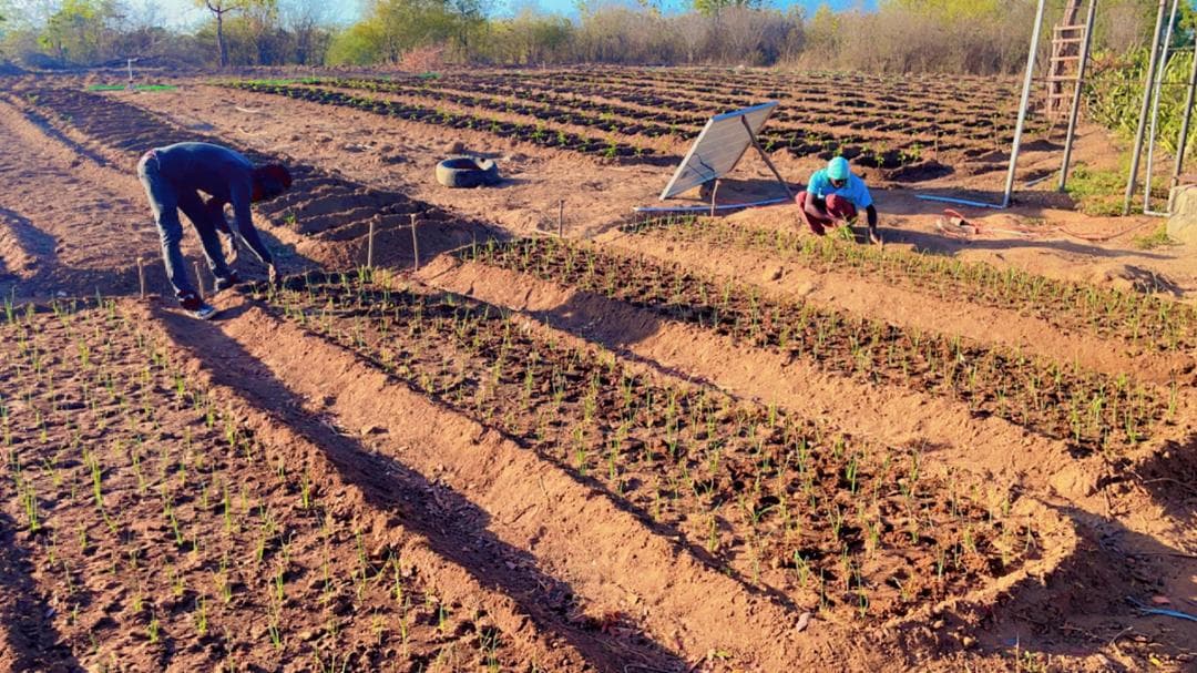 Little Seeds of Faith: Home 4 Haiti gallery image 5